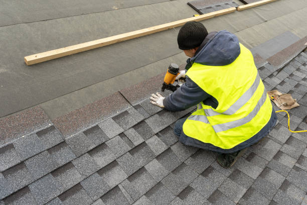 Best Roof Gutter Cleaning  in Midland City, AL