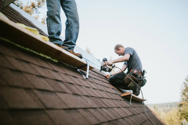 Quick and Trustworthy Emergency Roof Repair Services in Midland City, AL